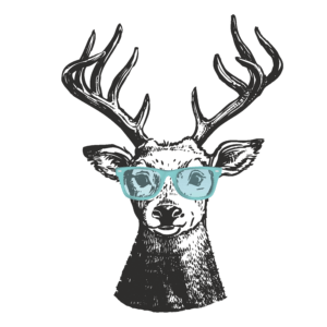 nouveau-renne-lunettes